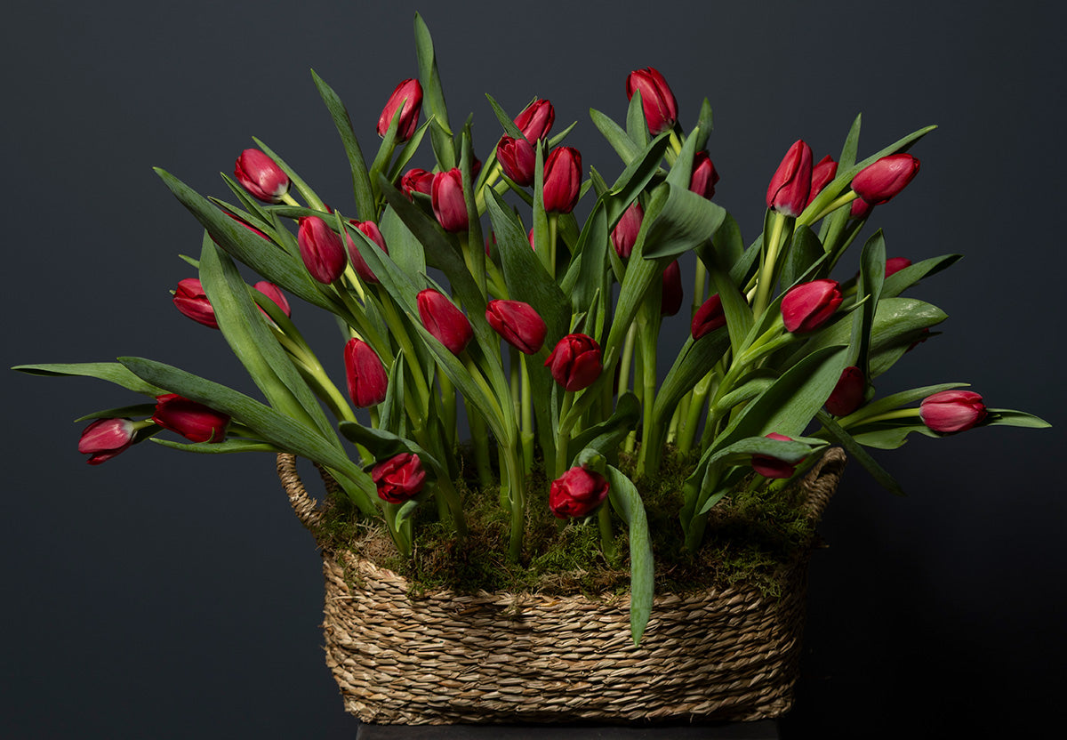 Flower Baskets