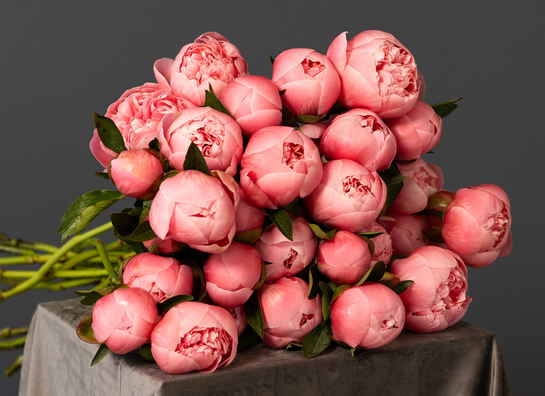Peonies
