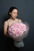 Hydrangeas pink