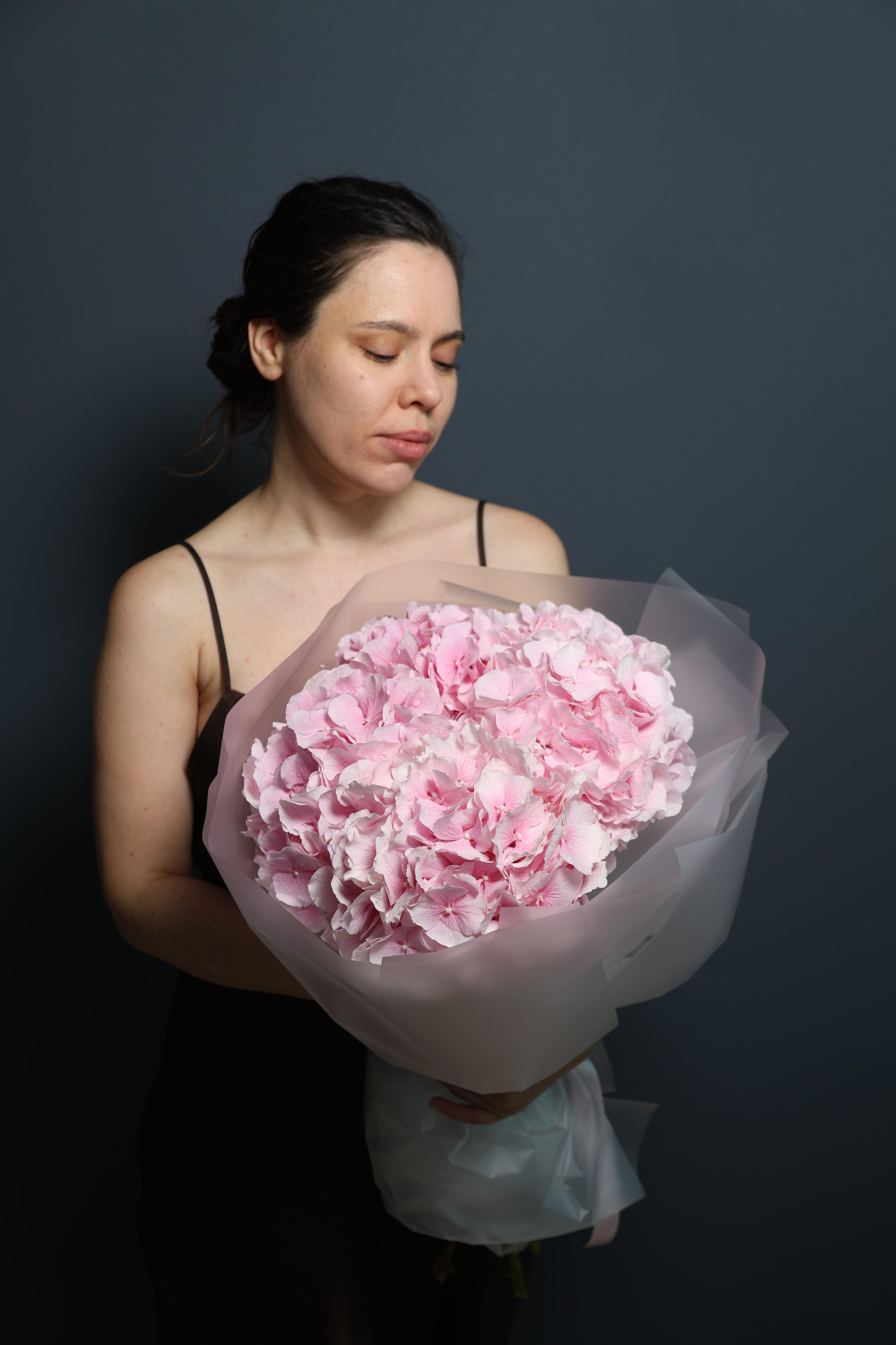 Hydrangeas pink
