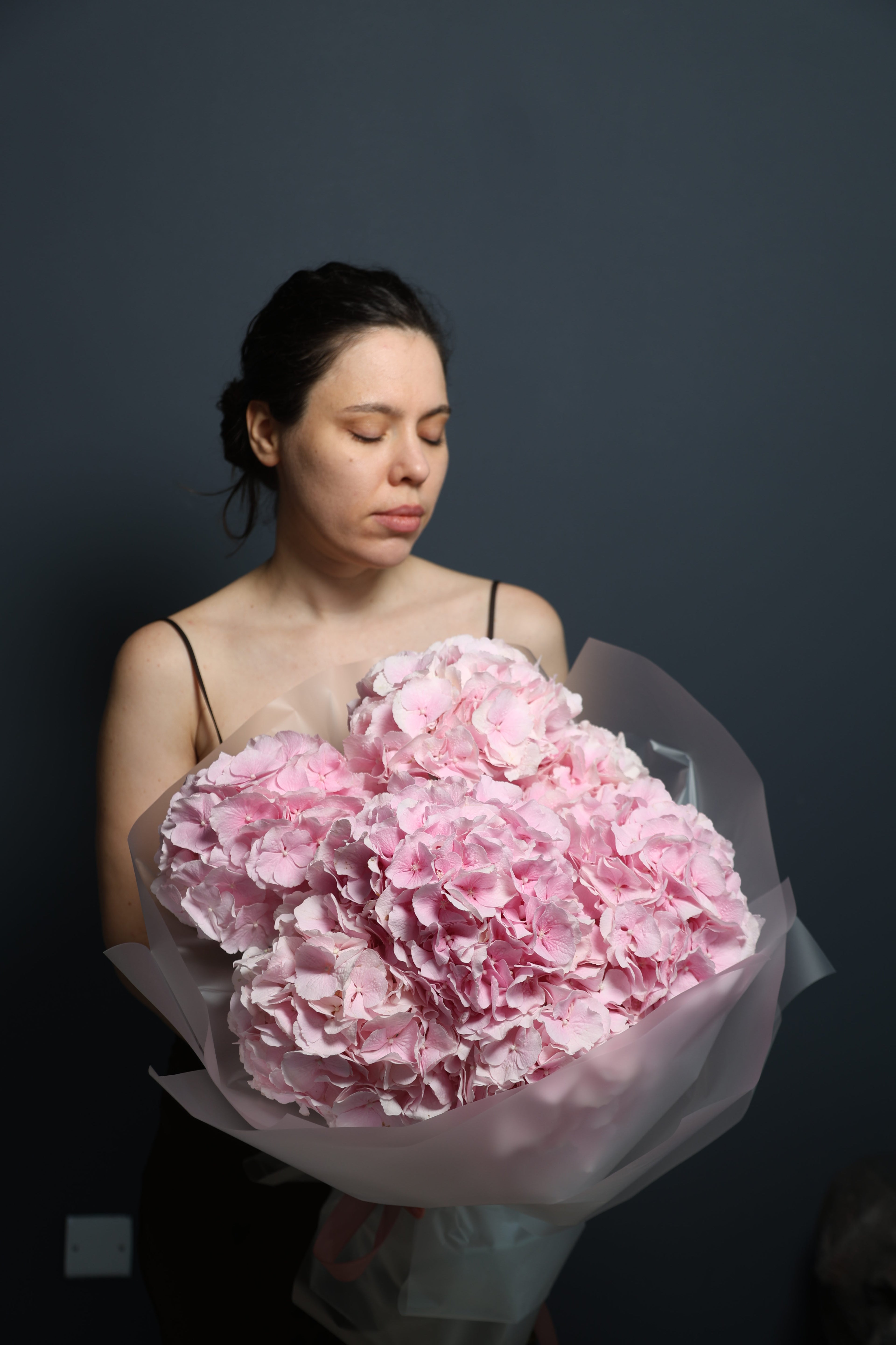 Hydrangeas pink