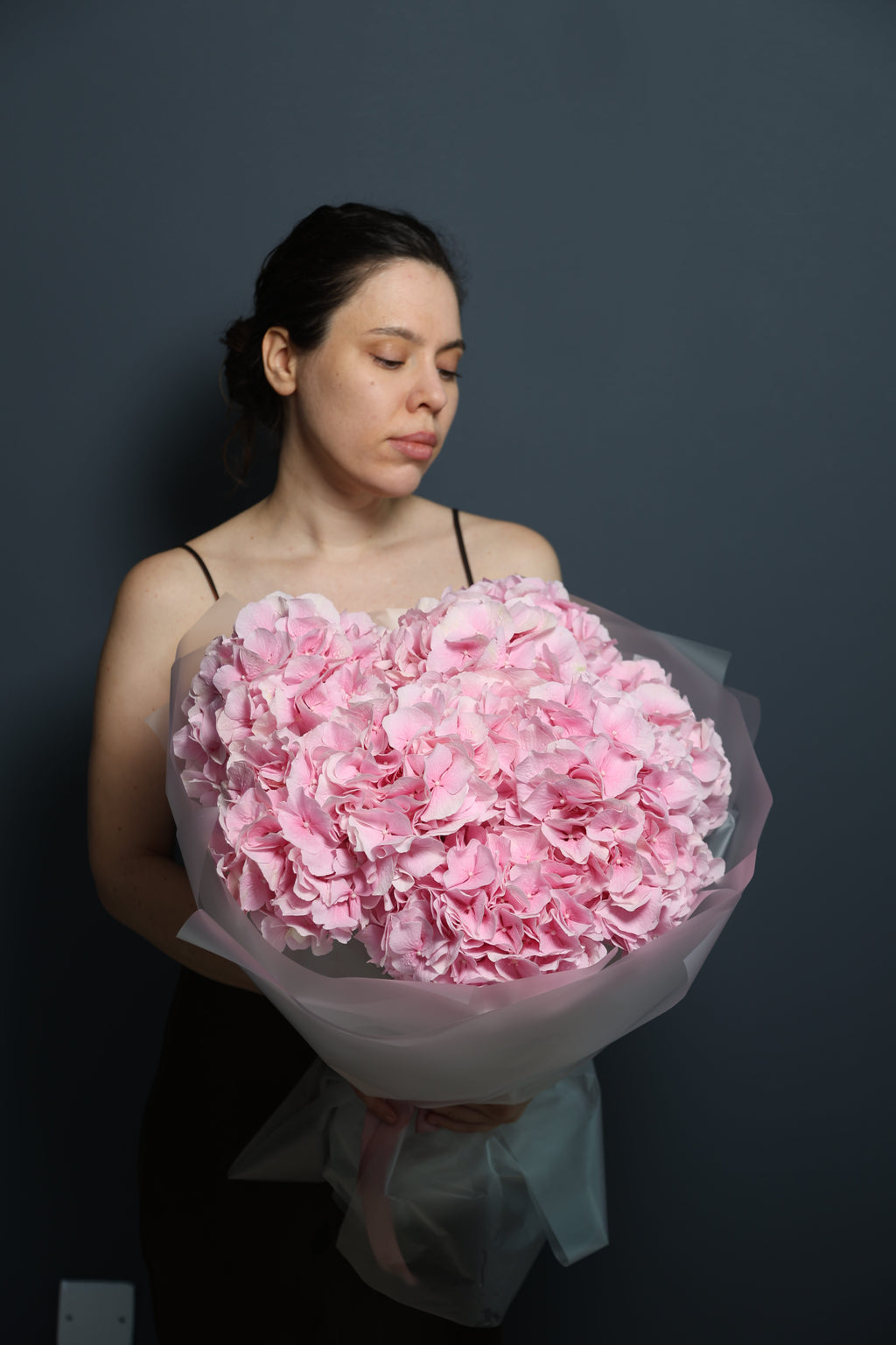 Hydrangeas pink