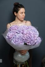 Hydrangeas purple