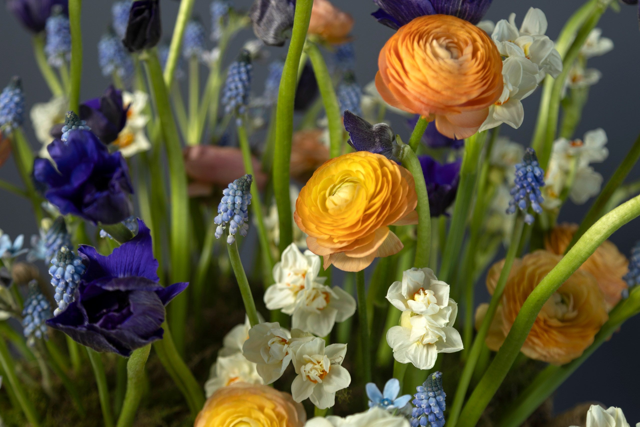 Wild Spring Basket