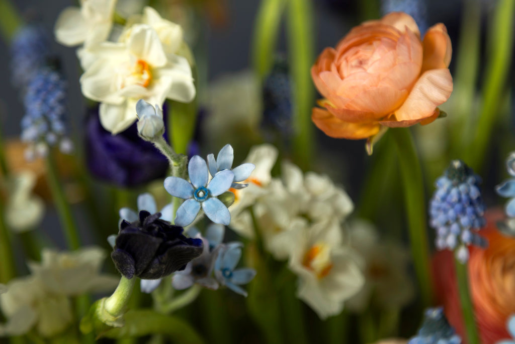 Wild Spring Basket