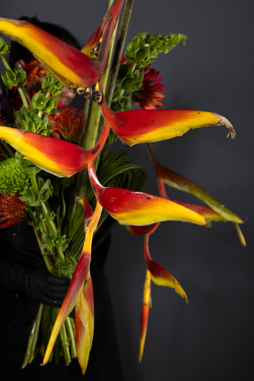 Heliconia & Nutans