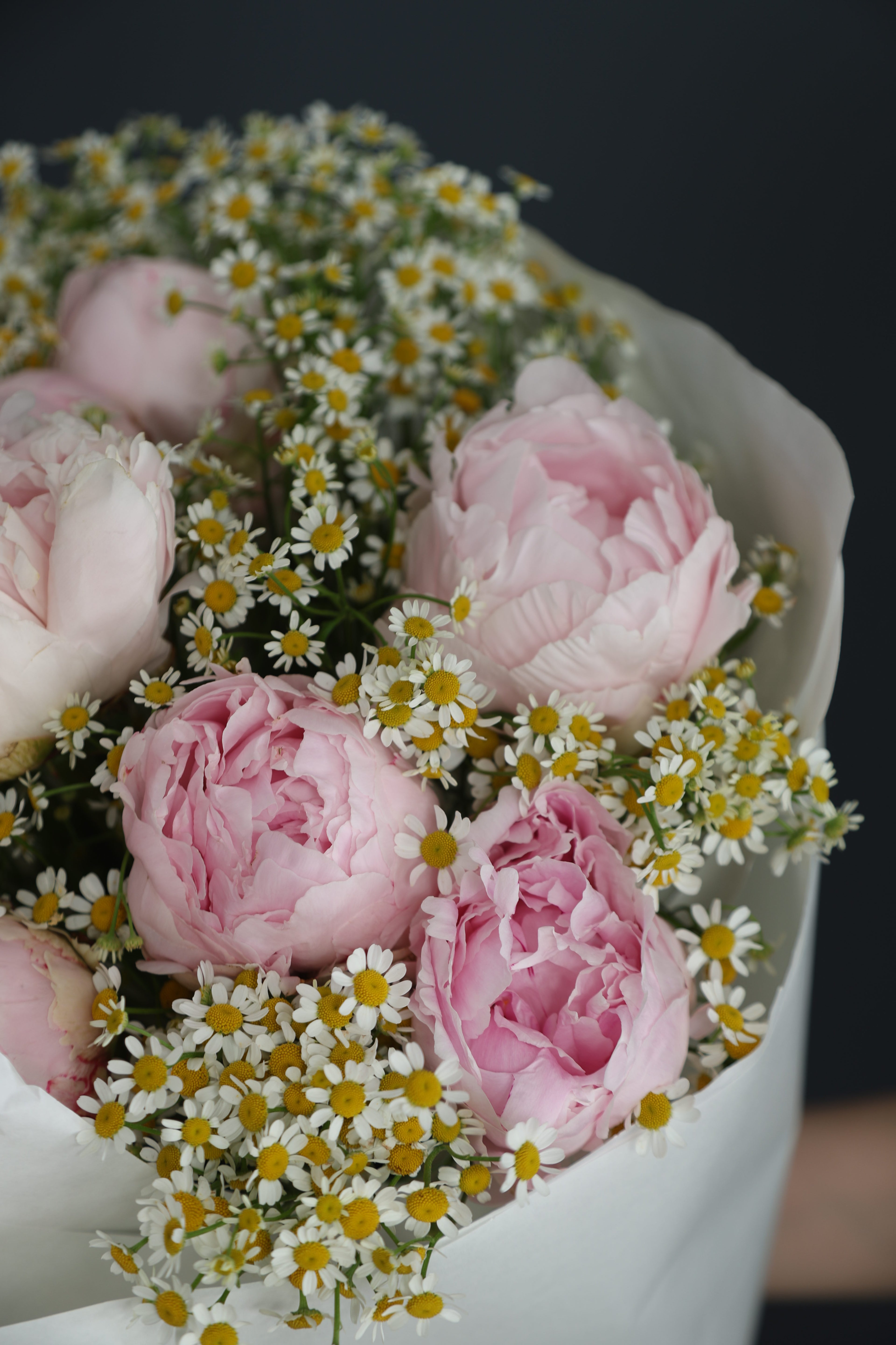 Peony+chamomile
