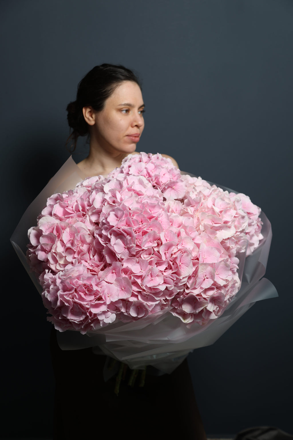 Hydrangeas pink