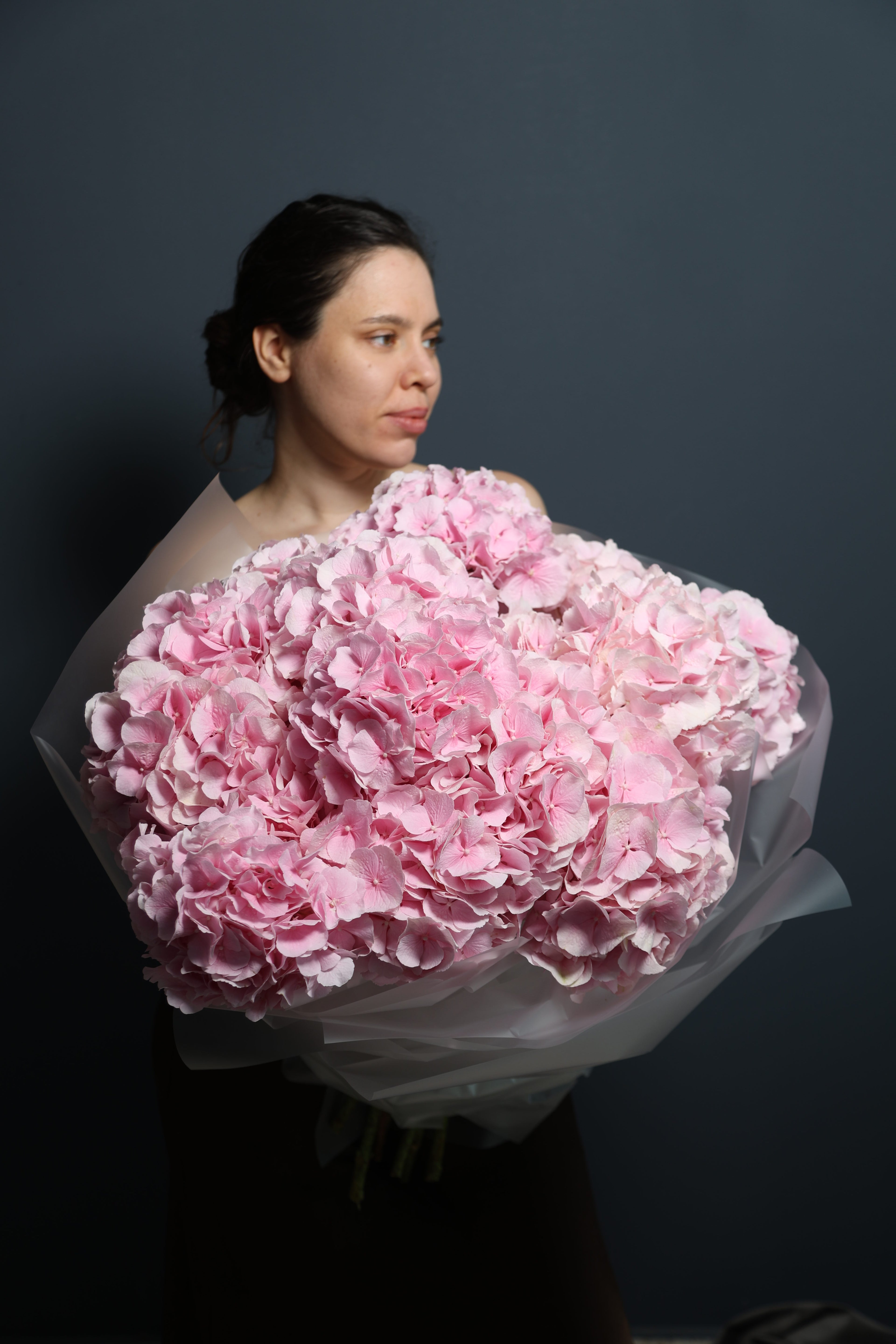Hydrangeas pink