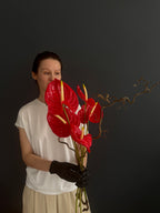Scarlet silk