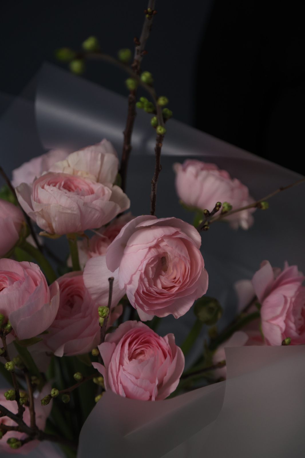 Ranunculus & Cherry Branches