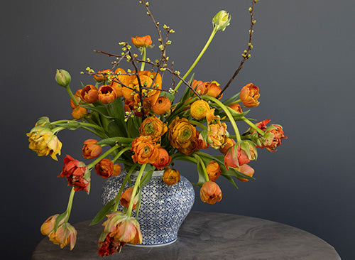 Orange ranunculus and tulip arrangement in a blue patterned vase with flowering branches