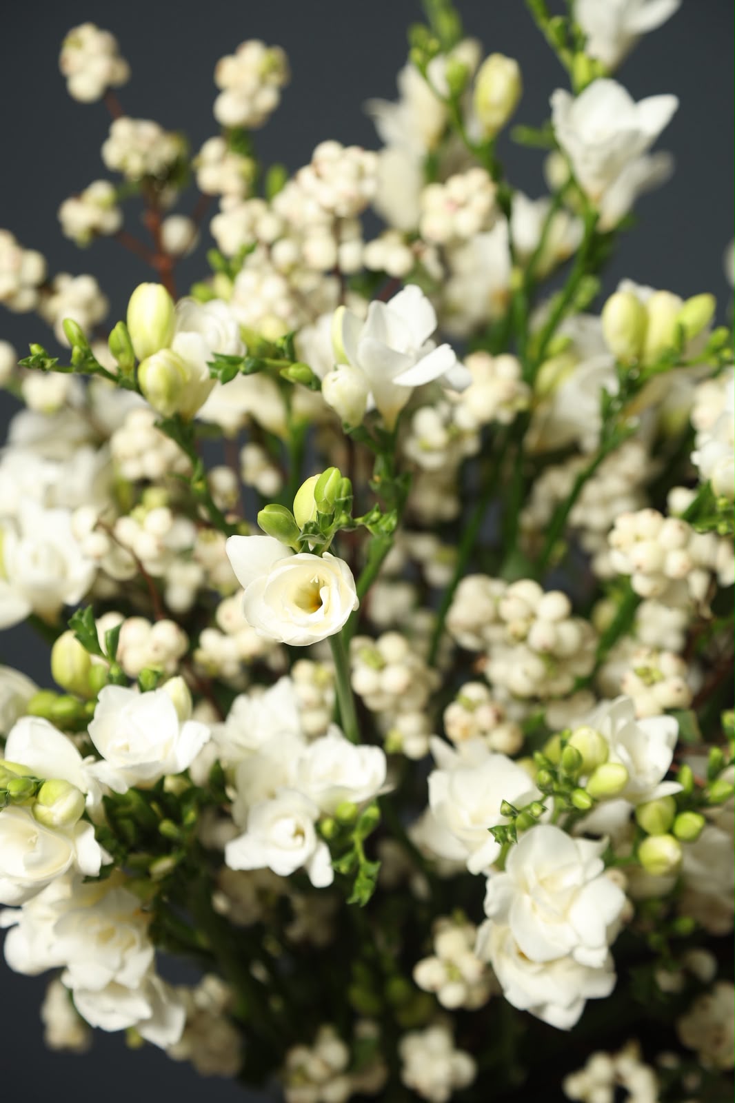 Close-up of white freesia and snowberry in the Pearl Cloud bouquet