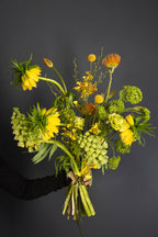 Neon botany